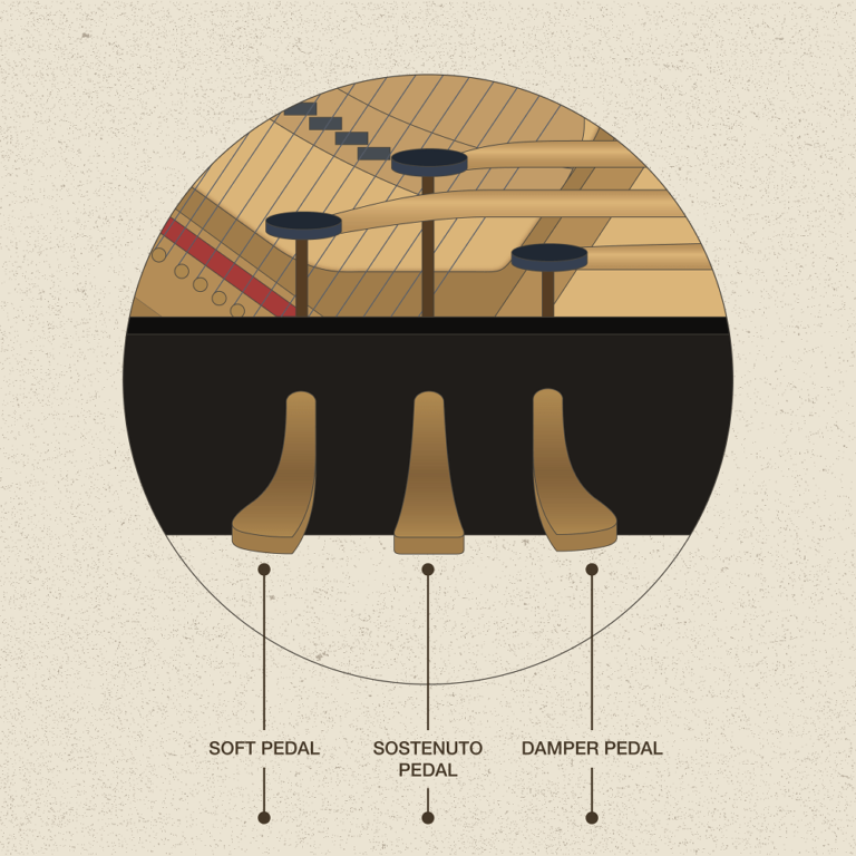 How Does A Piano Work To Create Sound? OKTAV