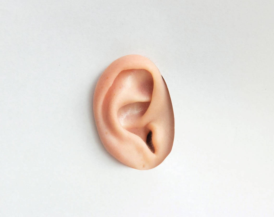 an ear