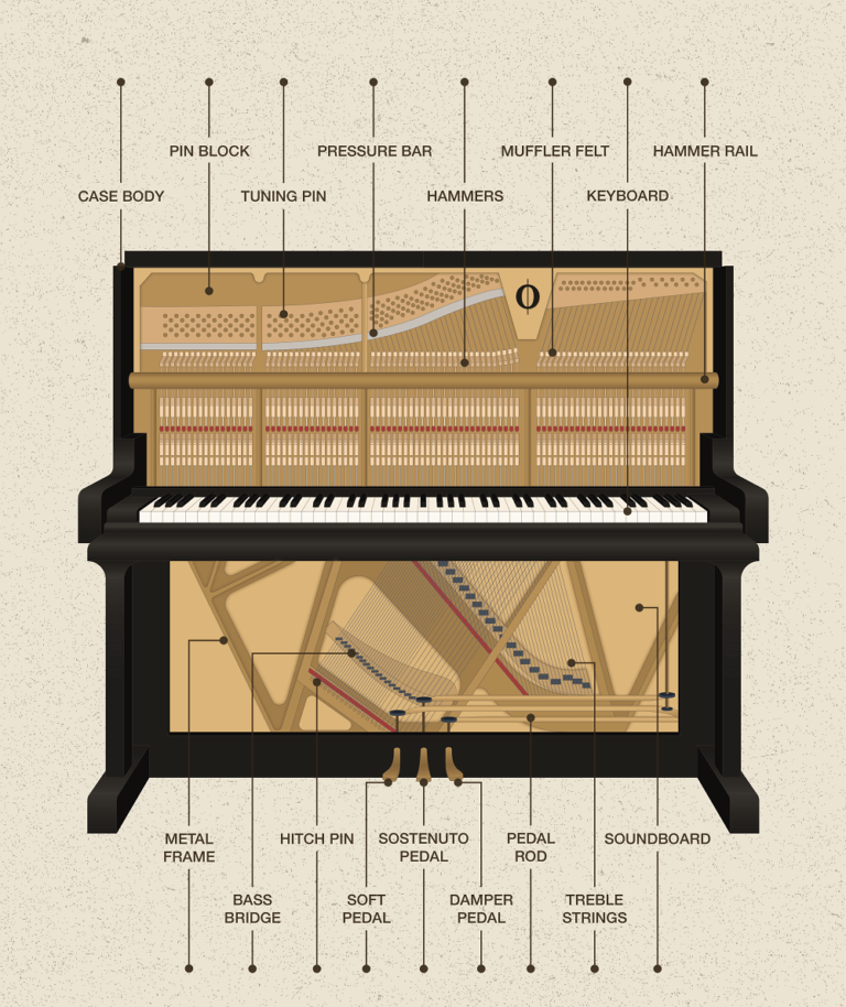 How Does A Piano Work To Create Sound? - OKTAV